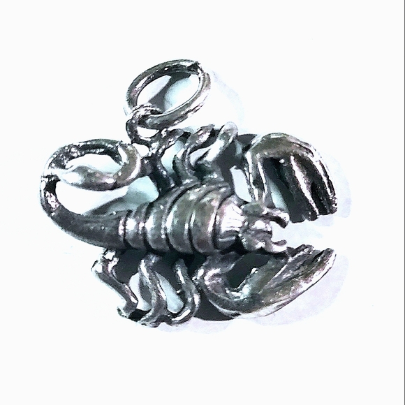 NEW .925 Sterling Silver Zodiac Cancer the Crab Pendant Charm! - Picture 2 of 3